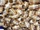 1/2" Brass Nipples X 10pcs (free shipping) - NZ Pipe