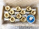 10x wingback Females (free shipping) - NZ Pipe